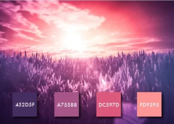 palettecolor_11_1462